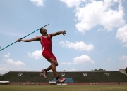 开云体育入口-跨界竞技场，爱德华兹的意甲式接管与黄蜂的团队力克