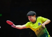 开云体育入口-波兰乒乓球队逆转德国乒乓球队，许昕完成帽子戏法的简单介绍