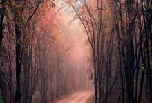 开云足球直播-铁闸奥利维耶，马赛防线新核心，战术智慧掀翻几内亚黑马