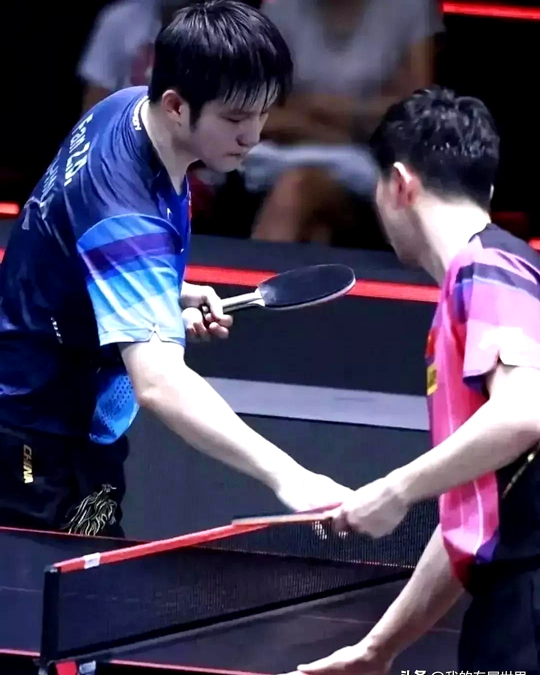 波兰乒乓球队力克日本乒乓球队,马龙一己之力扛起全队的简单介绍 波兰乒乓球队力克日本乒乓球队,马龙一己之力扛起全队的简单介绍