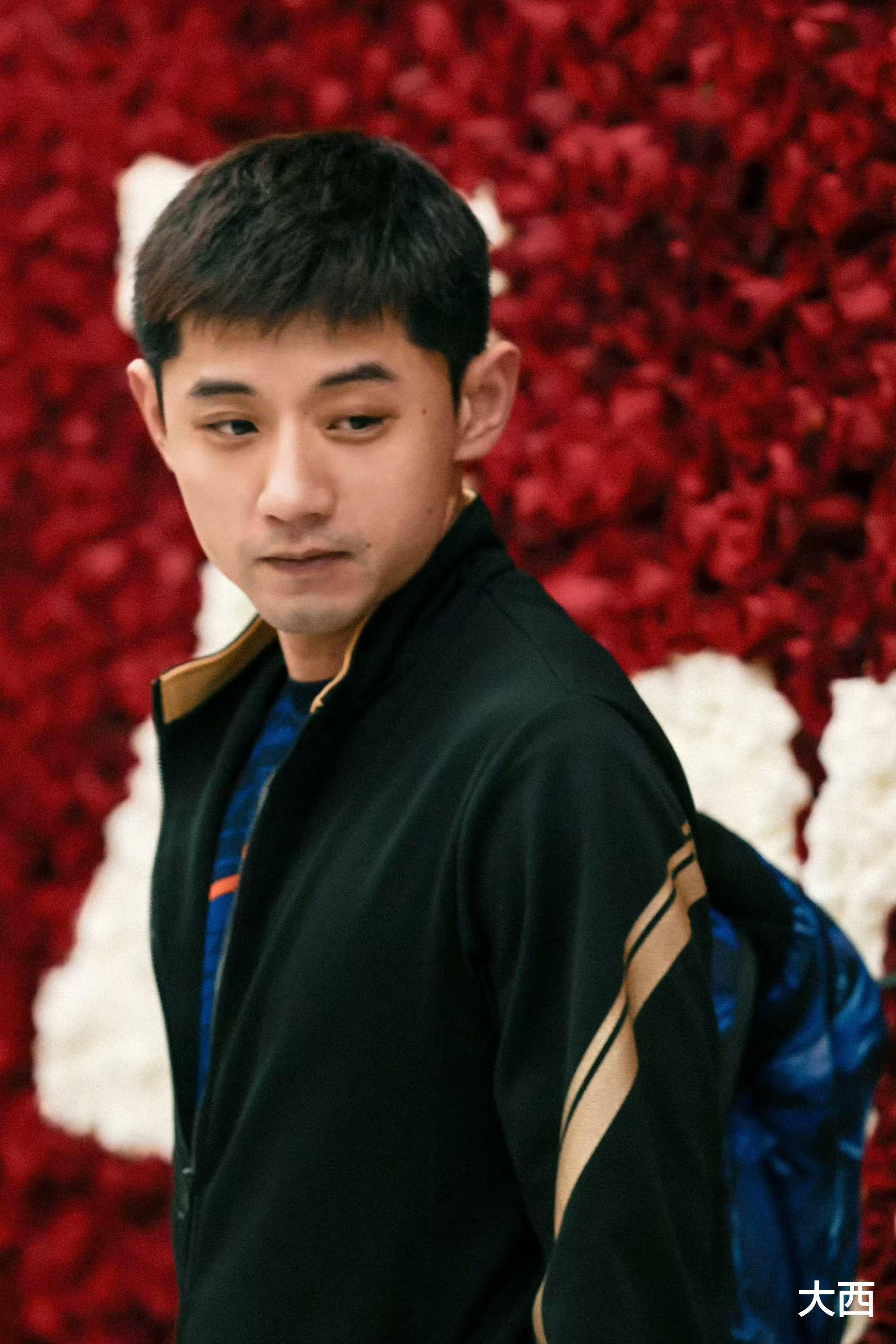 关于奥地利队险胜韩国队，张继科高光表现的信息